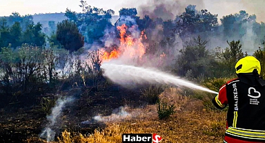 Balıkesir’de Hafta Sonu Alarmı: 5 İlçede 14 Orman ve Arazi Yangınına Müdahale Edildi