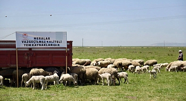 Balıkesir’de Mera Islahıyla Hayvancılığa Yeni Nefes: 2.011 Dekar Alan Verime Kazandırıldı