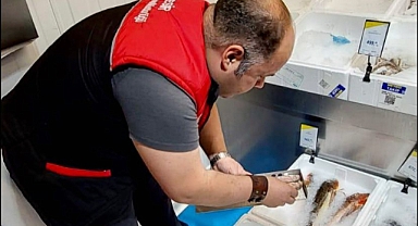 Balıkesir’de Su Ürünlerine Sıkı Denetim: Gemi ve Perakende Satış Yerleri Denetlendi