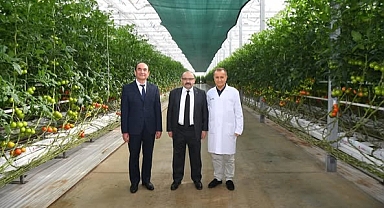 Balıkesir’de Topraksız Tarım Yöntemleriyle Verimli Üretim