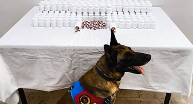 Balıkesir Jandarmasından 7 İlçede Eş Zamanlı Operasyon: 29 Şüpheli Yakalandı