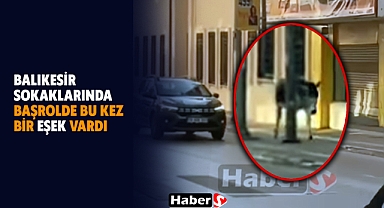 Balıkesir Sokaklarında Başrolde Bu Kez Bir Eşek Vardı