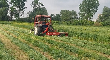 Balıkesir Üniversitesi Tarım ve Hayvancılık Alanında Başarılarını Sürdürüyor