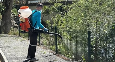Balya’da Sinek ve Haşerelere Karşı İlaçlama Çalışmaları Aralıksız Sürüyor