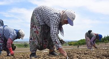 BASKİ’den 150 Bin Dönüm Araziye Modern Sulama Desteği