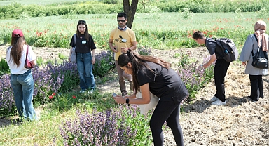 BAÜN’de “Tür Say 2025” Etkinliğiyle 202 Farklı Tür Tespit Edildi
