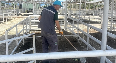 Dursunbey’de Kurban Bayramı Öncesi Hayvan Pazarı Temizleniyor