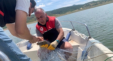 İkizcetepe Barajı’nda Su Ürünlerine Sıkı Denetim: Balıkesir’de Ekipler Sahadaydı