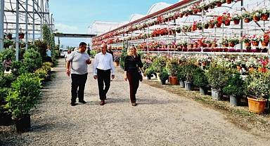 Kazdağları Eteklerinde Renkli Üretim: Edremit’te Süs Bitkileri Sektörüne Katma Değer Sağlanıyor