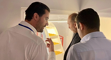 Manyas’ta Yerli Ürünlerden Katma Değerli Gıda Üretimi: Makarna ve Cipsin Hikâyesi