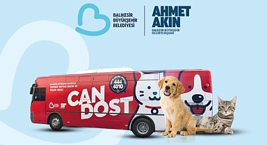 Sokak Hayvanlarına Ücretsiz Tedavi Desteği Sürüyor