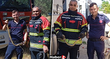 Tır Kabininde Sürpriz Misafir: Edremit'te Yılan Alarmı