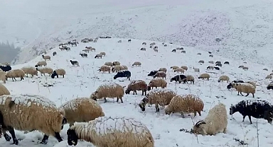 Van'ın Başkale İlçesinde Kar Yağışı