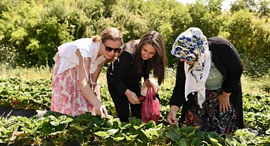 Altıeylül'de Çilek Festivali'ni Kaçırmayın!