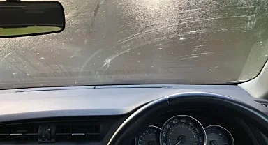 Araçlarınızı Nem ve Kuş Pisliğinden Korumanın Yolları