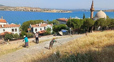 Ayvalık Belediyesi’nden Yaz Sezonu Öncesi Yoğun Peyzaj ve Temizlik Mesaisi