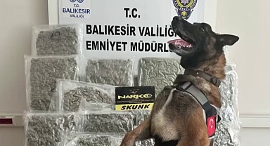 Balıkesir’de Narkotik Operasyonu: 10 Kilo 350 Gram Skunk Ele Geçirildi