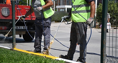 Balıkesir’de Refüjler Renkleniyor