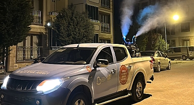 Balya’da Haşereyle Mücadele Çalışmaları Aralıksız Devam Ediyor