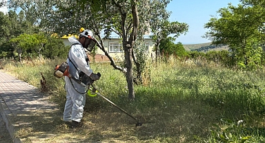 Bandırma'da Yaz Mesaisi: Yeşil Alanlarda ve Çevrede Titiz Çalışma
