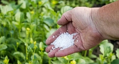 BAÜN Akademisyenlerinden Fosfor Malzemelerinde Yeni Bir Dönem Başlatan Çalışma