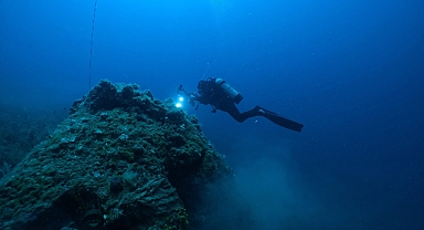Büyükşehir Biyoçeşitliliği Korumak İçin Seferber Oldu