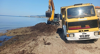 Edremit Belediyesi, Komşularının Taleplerine Hızla Yanıt Veriyor: Altınoluk İskele Mahallesi’nde Sahil Temizliği Başladı