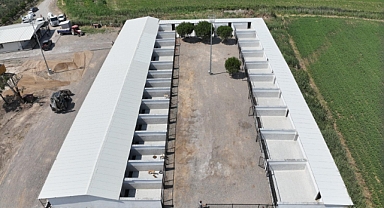 Edremit Çıkrıkçı Hayvan Barınağı Yenilendi