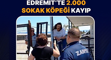 Edremit’te 2.000 Sokak Köpeği Kayıp İddiası: Hayvanseverler Cevap Bekliyor