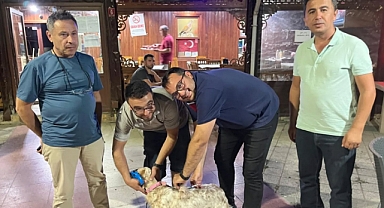 Havran’da Kuduzla Mücadeleye Toplu Aşı Desteği: Avcılar Kulübü’nde Farkındalık Etkinliği Düzenlendi