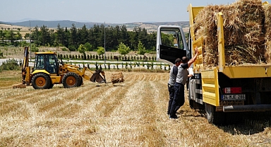 Kaba Yem Üretiminde Tam Bağımsızlık