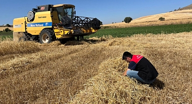 Kepsut İlçe Tarım ve Orman Müdürlüğü, Hububat Hasatlarında Biçerdöver Kontrollerini Sürdürüyor