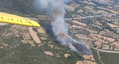 Kepsut’ta Tarım Arazilerinde Yangın Sonrası İnceleme: Hasar Tespiti İçin Sahadaydılar