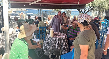 Marmara Adalar Belediyesi'nden Zeytin Sineğine Karşı Biyolojik Mücadele Desteği