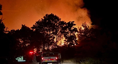 Altıeylül Belediyesi’nden Kirazköy’deki Orman Yangınına Anında Müdahale