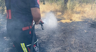 Altınoluk’ta Yol Kenarındaki Enkazdan Çıkan Yangın Zeytinliğe Sıçradı
