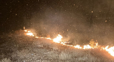 Ayvalık’ta Ot Yangını Korkuttu: İtfaiye Ekipleri Hızla Müdahale Etti