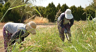 BAÇEM Yetiştirdiği Bitkilerle Bitki Bilimine Örnek Oluyor