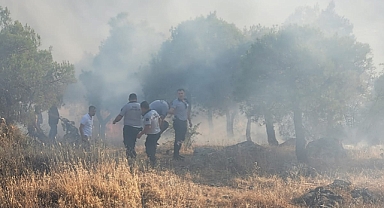 Balıkesir Çamlık’ta Çıkan Yangın, İtfaiye Ekiplerinin Hızlı Müdahalesiyle Kısa Sürede Söndürüldü