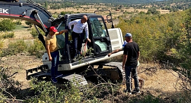 Balıkesir'de Meralara Bilimsel Dokunuş: Evciler'de 465 Dekarlık Alanda Islah ve Gübreleme Çalışması Sürüyor