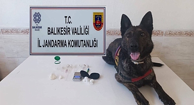 Balıkesir Jandarmasından Narkotik Operasyonu: 9 İlçede Eş Zamanlı Baskın, 23 Gözaltı