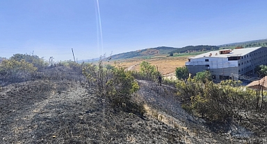 Balıkesir Susurluk İlçesi Ilıcaboğazı Mahallesi'nde Çalılık Alan Yangını Söndürüldü