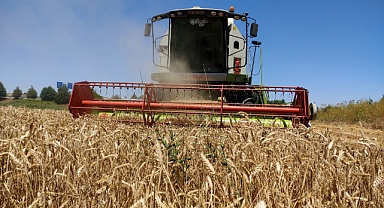 Balıkesir Üniversitesi, Tarımsal Üretimle Hayvancılığı Destekliyor: Çağış Yerleşkesinde Hasat Yapıldı