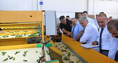 Balıkesir Valisi, Sındırgı’da Kornişon Salatalık Üretimi Yapan Tesisi Ziyaret Etti