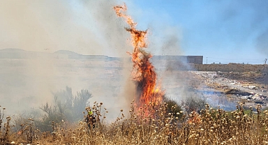 Balya ve Burhaniye'de Çıkan Yangınlara Hızlı Müdahale: Bir Kişi Dumandan Etkilendi