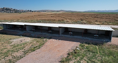 Bandırma Belediyesi’nden Patili Dostlara Yeni Yaşam Alanı ve Özenle Hazırlanmış Kulübeler