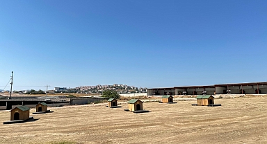 Bandırma’da Yeni Barınak Projesi Hız Kazandı