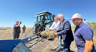 Başkan Dursun Mirza, Çepni’de Nohut Hasadına Katıldı: “Üreticimizin Yanındayız”