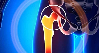 BAÜN Akademisyenlerinden Yeni Deneysel Model: Femoroasetabular Sıkışma Sendromu Çalışmalarında Önemli Gelişme