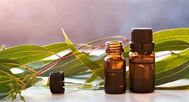 Böceklerden Kurtulmanın Doğal Yolu: Okaliptüs Yağı İle Temiz ve Sağlıklı Evler